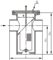 SRBIW籃式過(guò)濾器